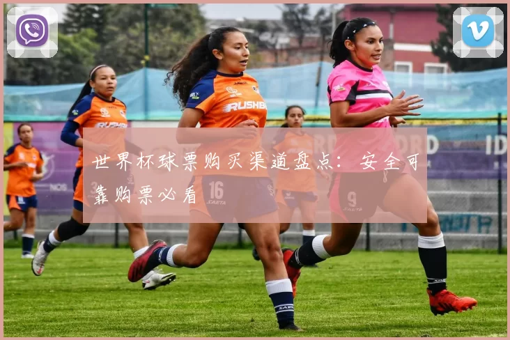 世界杯球票购买渠道盘点：安全可靠购票必看