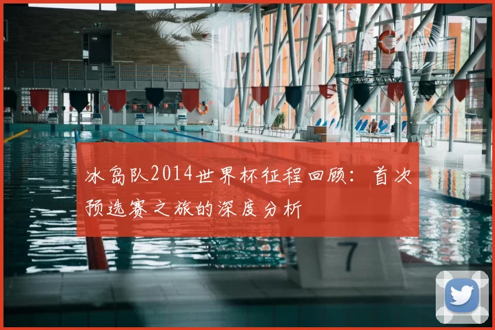 冰岛队2014世界杯征程回顾：首次预选赛之旅的深度分析