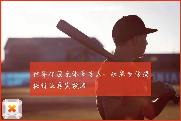 世界杯菠菜体量惊人，独家专访揭秘行业真实数据