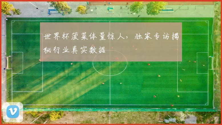 世界杯菠菜体量惊人，独家专访揭秘行业真实数据