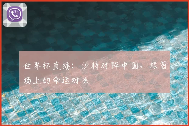 世界杯直播：沙特对阵中国，绿茵场上的命运对决