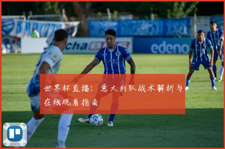 世界杯直播：意大利队战术解析与在线观看指南