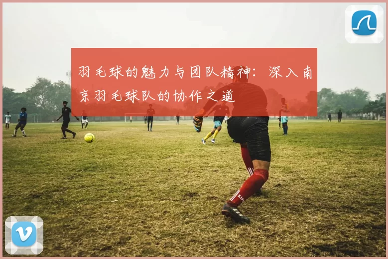 羽毛球的魅力与团队精神:深入南京羽毛球队的协作之道