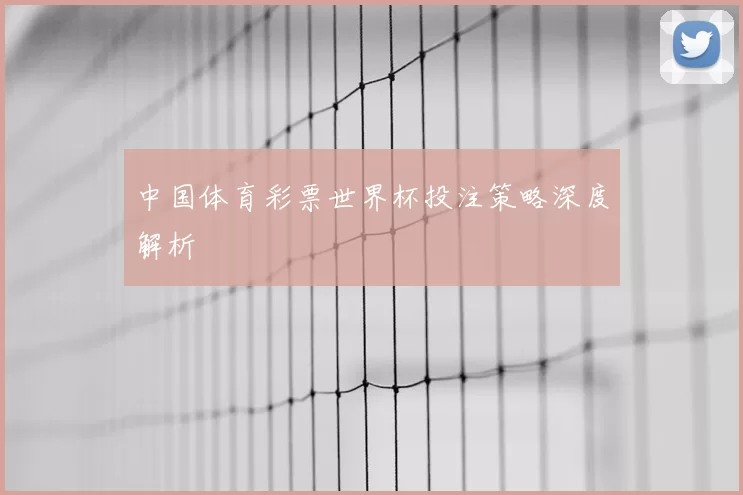 中国体育彩票世界杯投注策略深度解析
