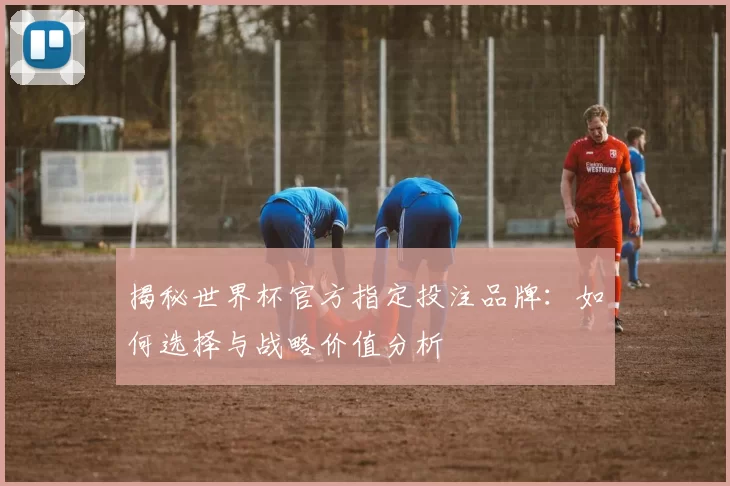 揭秘世界杯官方指定投注品牌:如何选择与战略价值分析