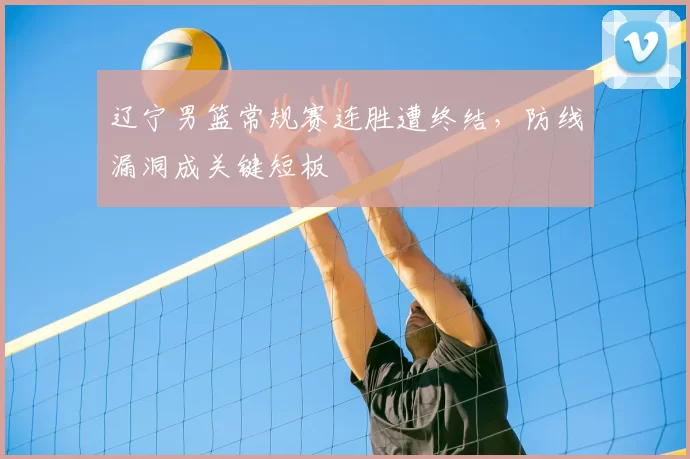 辽宁男篮常规赛连胜遭终结，防线漏洞成关键短板