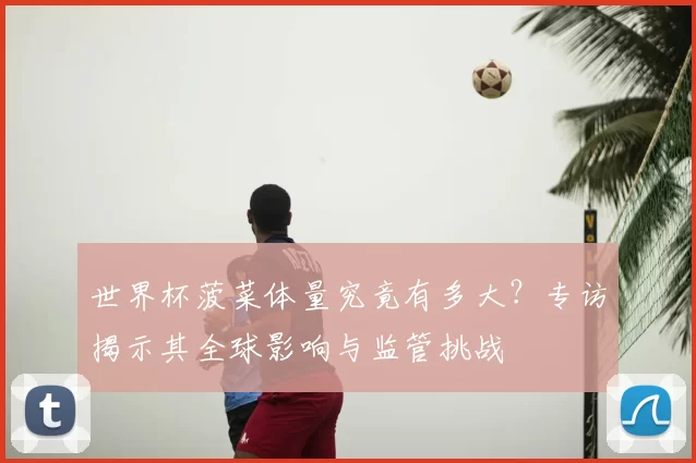 世界杯菠菜体量究竟有多大？专访揭示其全球影响与监管挑战