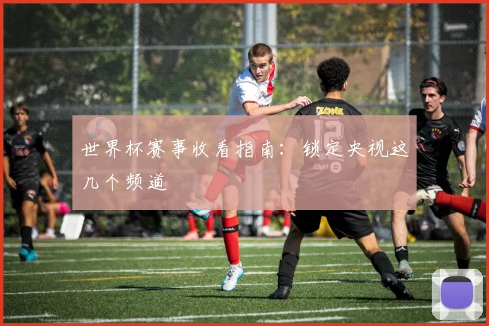 世界杯赛事收看指南：锁定央视这几个频道