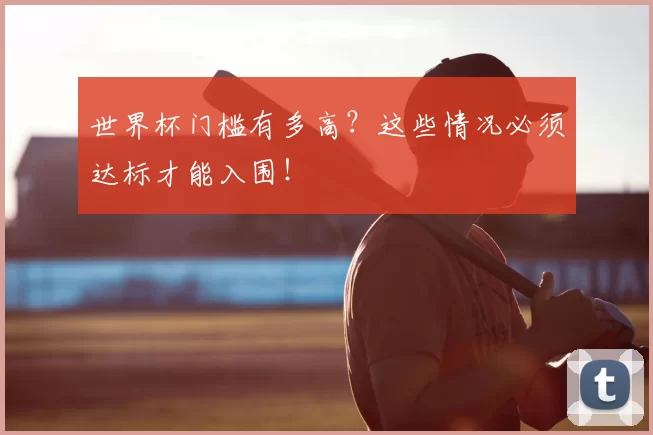世界杯门槛有多高?这些情况必须达标才能入围!