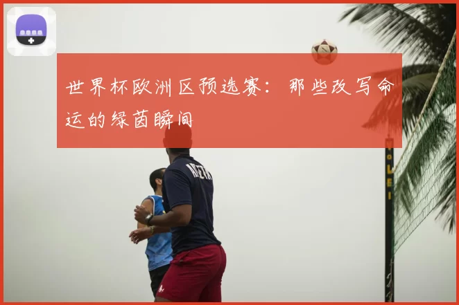 世界杯欧洲区预选赛:那些改写命运的绿茵瞬间