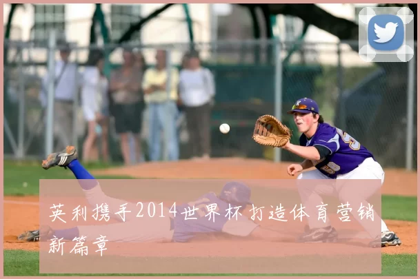 英利携手2014世界杯打造体育营销新篇章