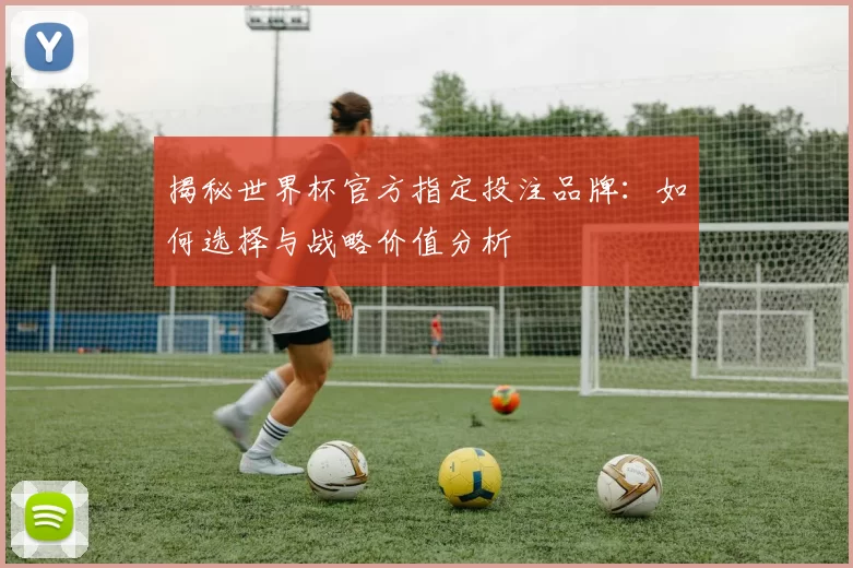 揭秘世界杯官方指定投注品牌：如何选择与战略价值分析