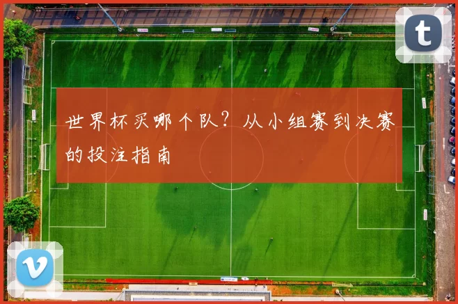 世界杯买哪个队？从小组赛到决赛的投注指南